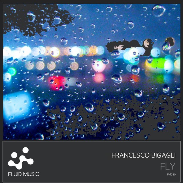 Fly