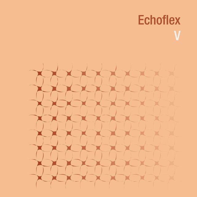Echoflex V
