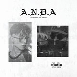 ANDA