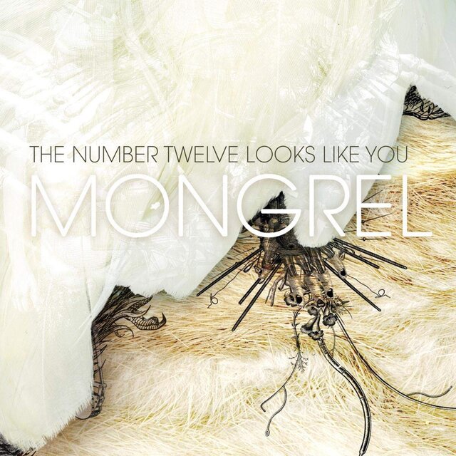 Cover art for album Mongrel by The Number Twelve Looks Like You