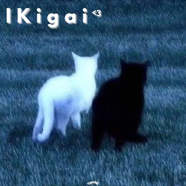 Ikigai<3