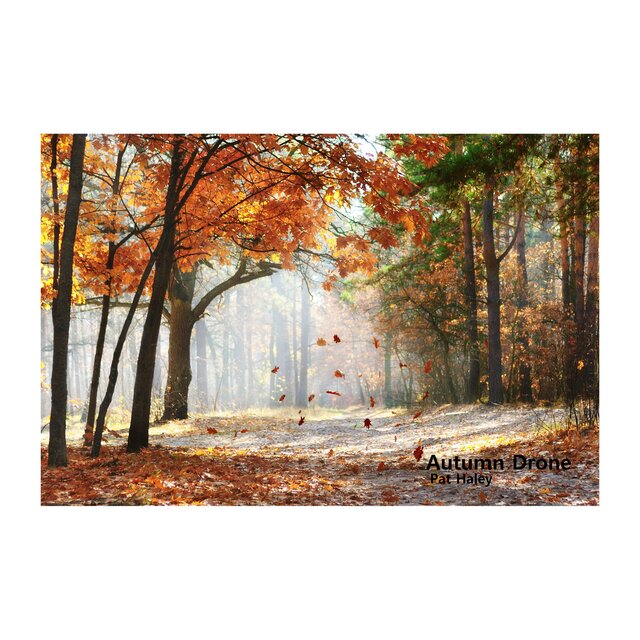 Autumn Drone