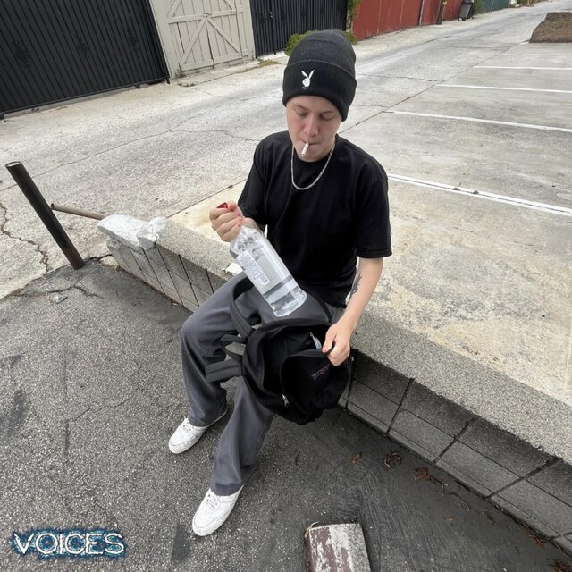 Voices