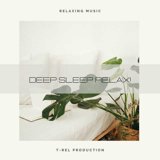 Deep Sleep Relax!