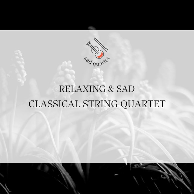 Relaxing & Sad Classical String Quartet