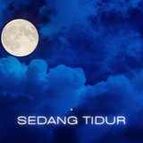 Sedang Tidur