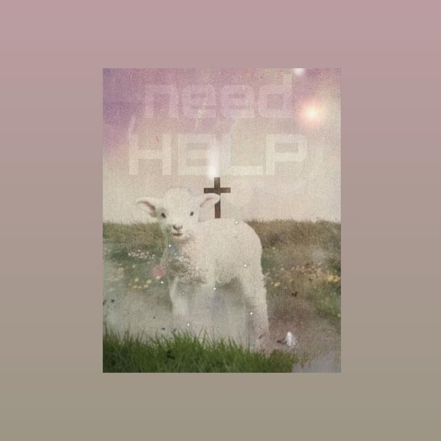 Need Help