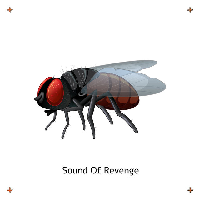 Sound of Revenge
