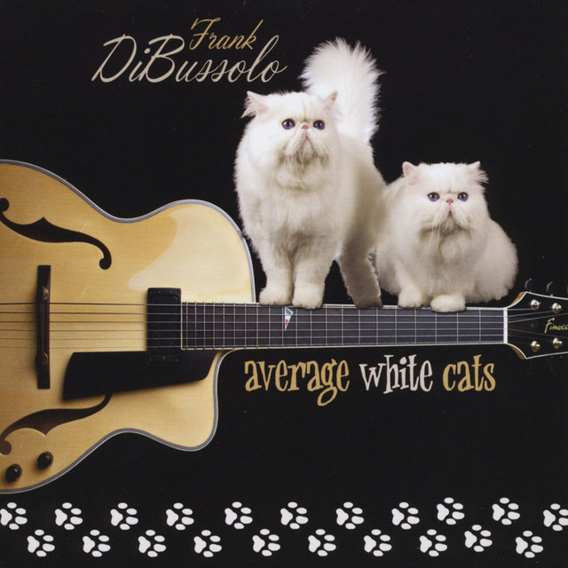 Average White Cats