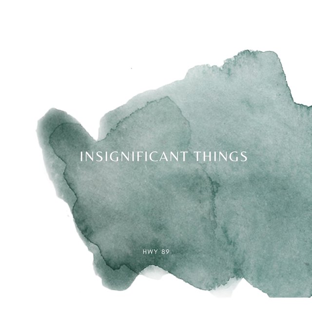 Insignificant Things