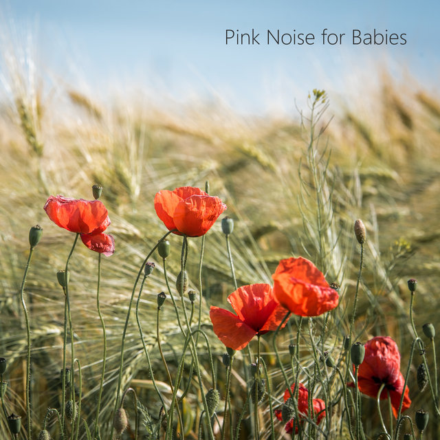 Calm&Relax Noise – Great Noise for Insomnia Kids