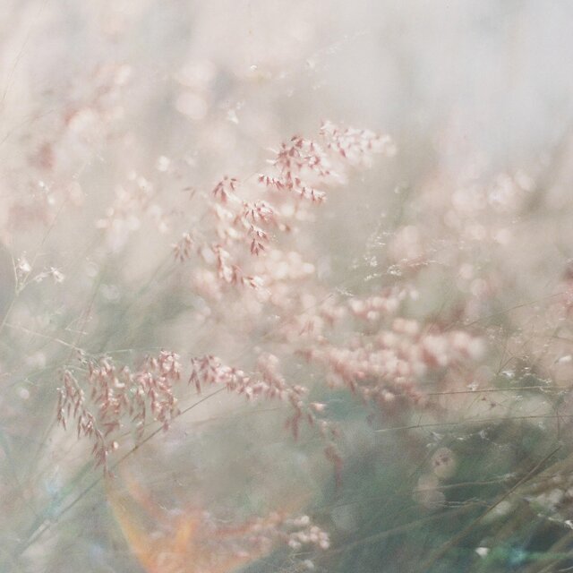Longing