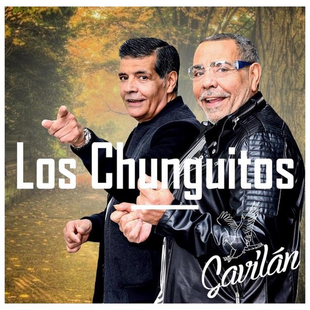 Gavilán