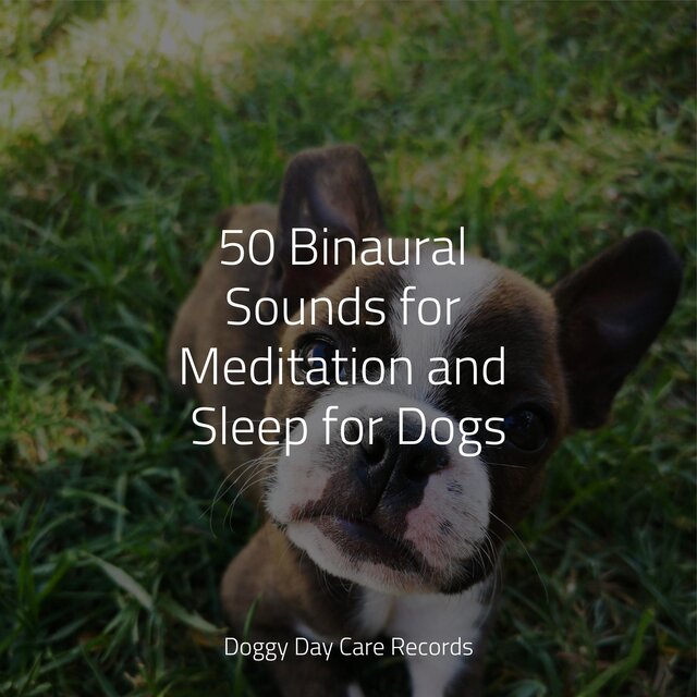 50 Binaural Sounds for Meditation and Sleep for Dogs