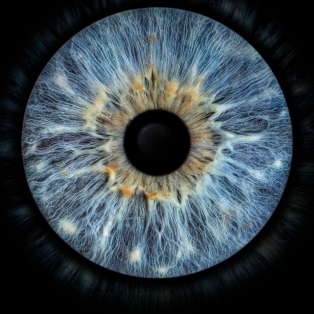 Ufo (Live)