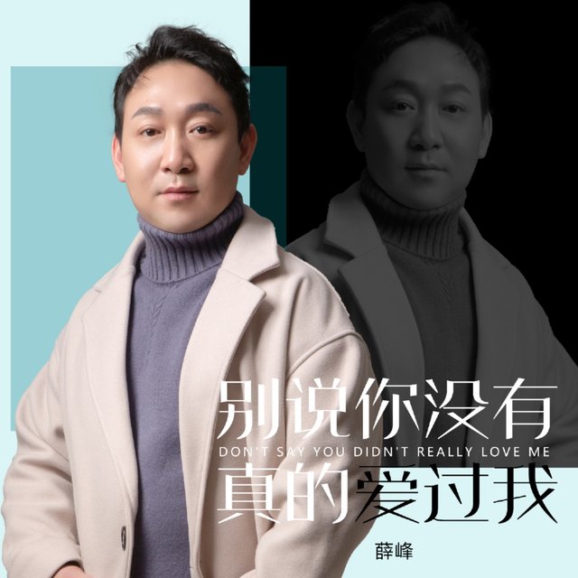 别说你没有真的爱过我