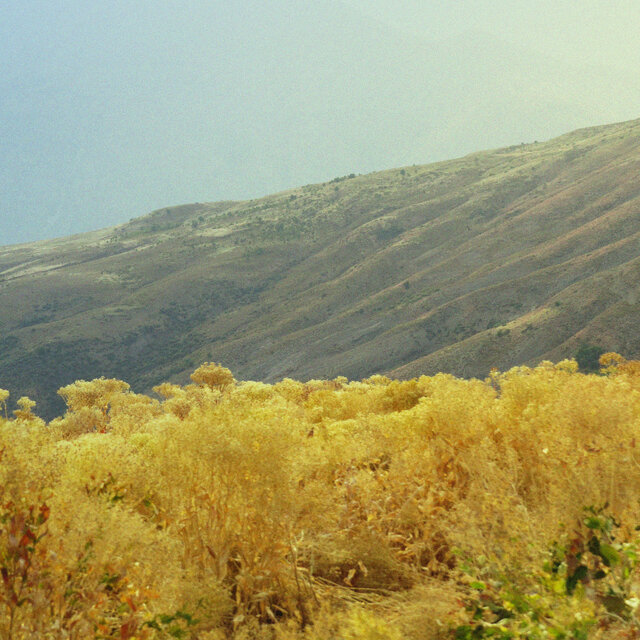 Valley of Flowers