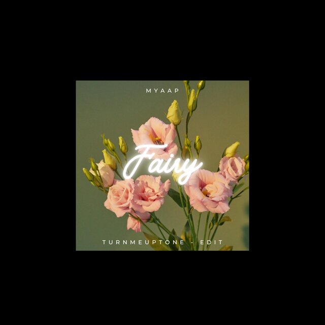 Fairy (Turnmeuptone Edit)