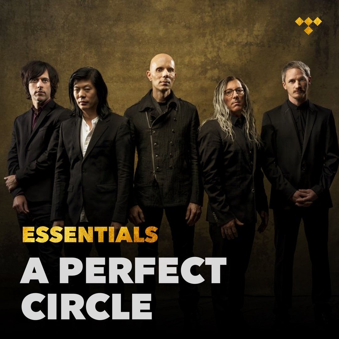 James Iha A Perfect Circle