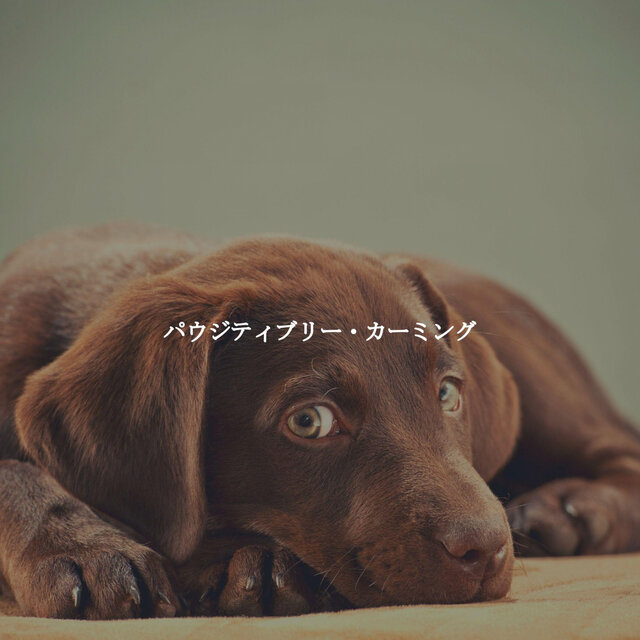 パウジティブリー・カーミング