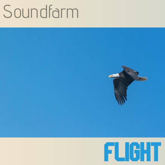 Flight