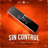Sin Control