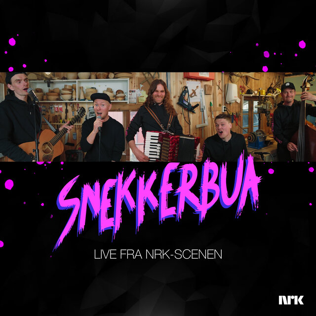Snekkerbua (live fra NRK-scenen)