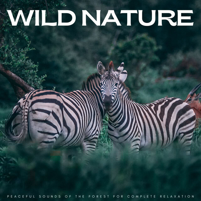 Wild Nature: Peaceful Sounds Of The Forest For Complete Relaxation