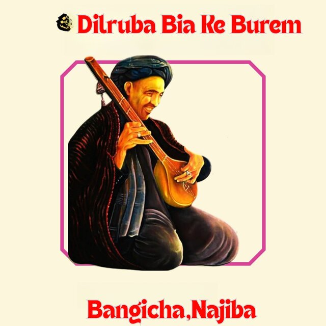 Dilruba Bia Ke Burem