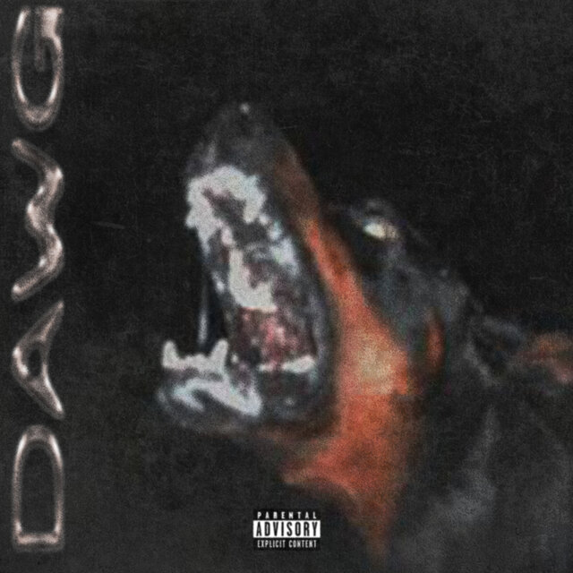 DAWG
