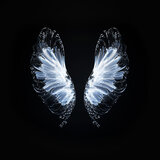 Believe