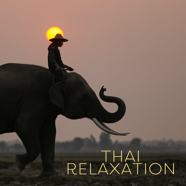 Thai Relaxation: Calming Instrumental Composition from Thailand to Relax Body and Mind