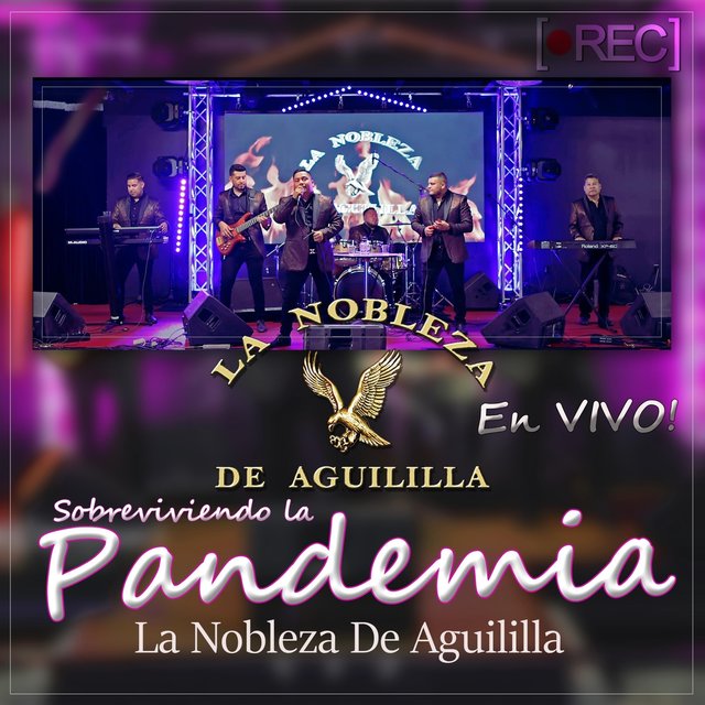 Sobreviviendo la Pandemia