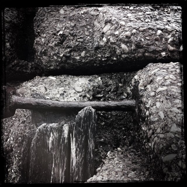 streams of consciousness 232504