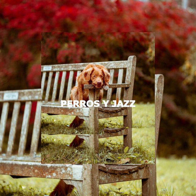 PERROS Y JAZZ