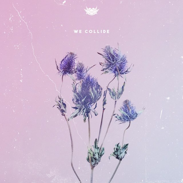 We Collide