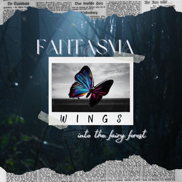 Wings