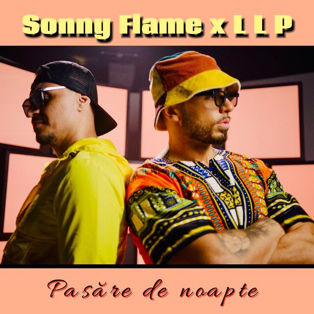 Pasare de noapte