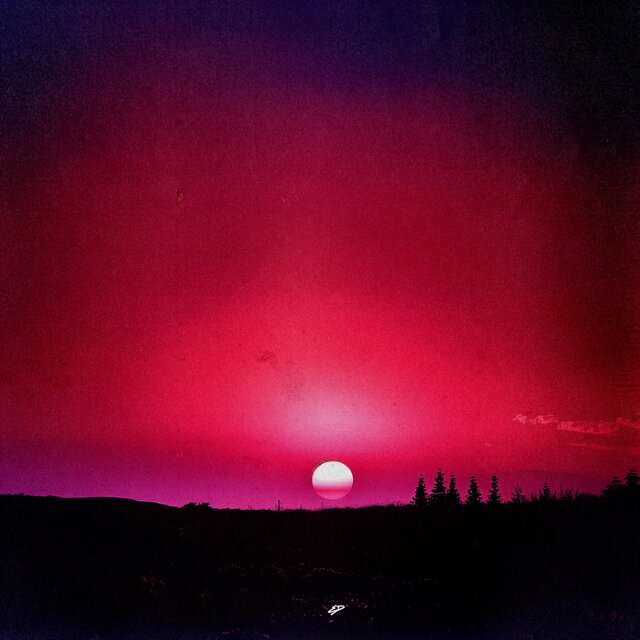 Magenta Sunset