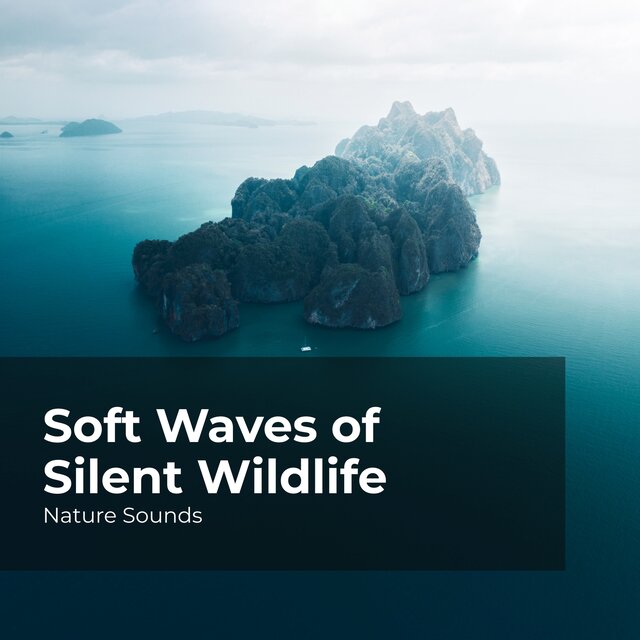 Soft Waves of Silent Wildlife