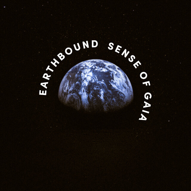 Sense of Gaia