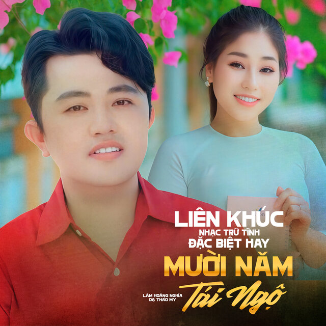 Liên Khúc Nhạc Trữ Tình Đặc Biệt Hay / Mười Năm Tái Ngộ
