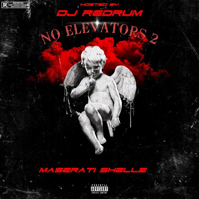NO ELEVATORS 2