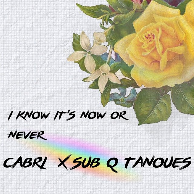 I Know It's Now or Never