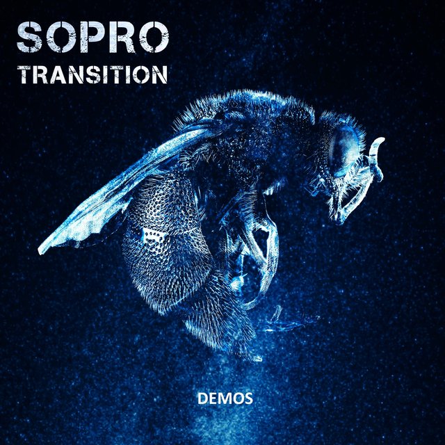Transition Demos (Demo)
