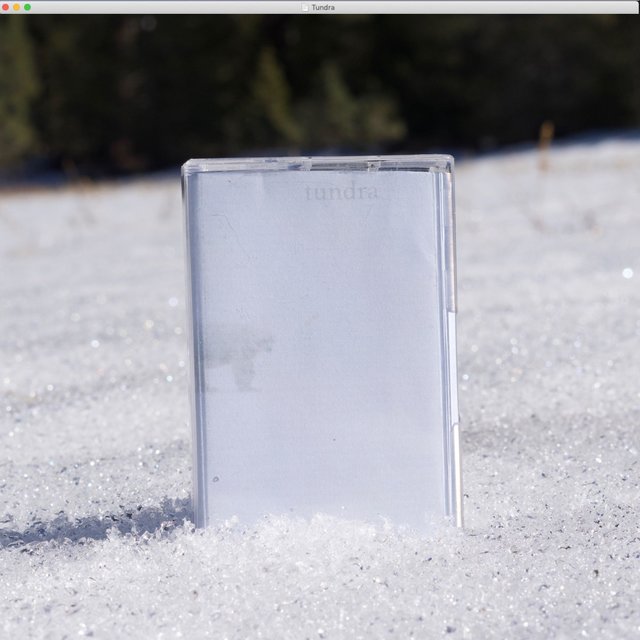 Tundra