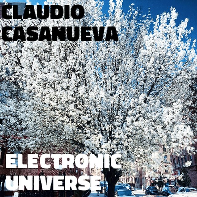 Electronic Universe