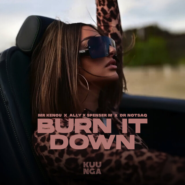 Burn It Down (Remixes)