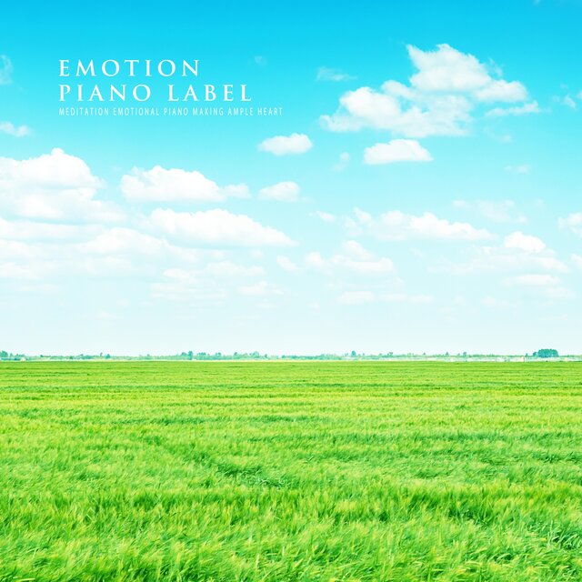 Meditation Emotional Piano Making Ample Heart