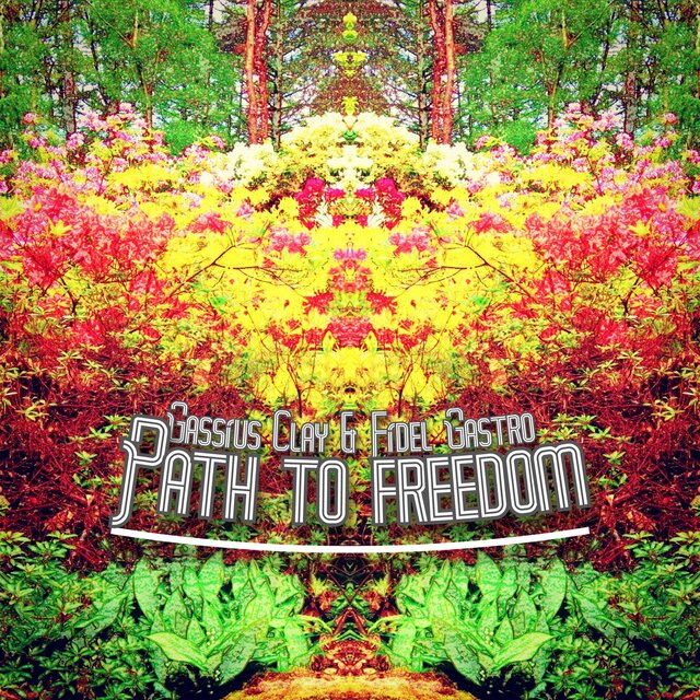 Path to Freedom